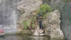 Aquarium Aquarium aussen