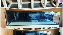 Technik im Aquarium Malawi Tank