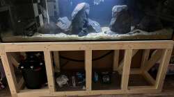 Dekoration im Aquarium Malawi Tank