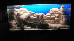 Dekoration im Aquarium Becken 3893