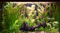 einige Monate nach dem Einrichten