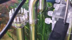 Technik im Aquarium Mein liebster 270 Liter Bauklotz !