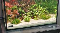 Aquarium Mein liebster 270 Liter Bauklotz !