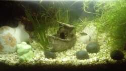 Frontansicht 06.04.2019