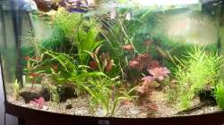 Aquarium von der rechten Seite fotografiert