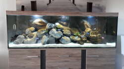 Nach ein paar Wochen