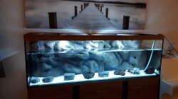 Füllen des Aquariums