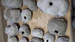 Zwei Hälften zusammen kleben mit Silikon