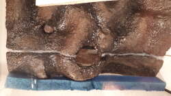 Fuge mit Silikon schliessen