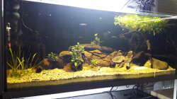 Aquarium West Afrika