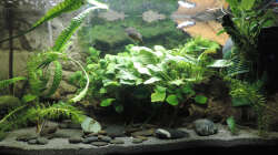 neue Steine für den Boden