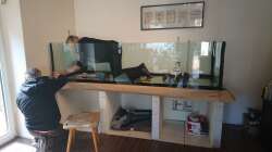 Die Aquariumbaumeisterin