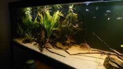 linke Seite mit Schwimmraum und Bleheries