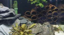 Der etwas häßliche, aber praktische Röhrenhaufen