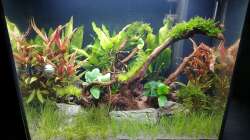 10 Tage nach der Einrichtung