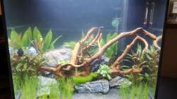 1 Tag nach der Einrichtung