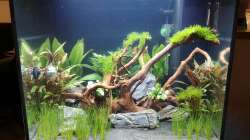 3 Tage nach der Einrichtung