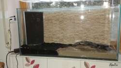 Dorthinter verschwunden 