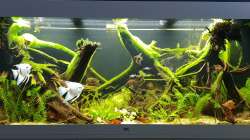 Teilwasserwechsel 31.08