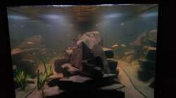 Kopfseite (1 m breit)