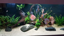 Südamerikanisches Idyll