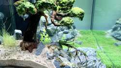 EHEIM Incpiria 300 - 8