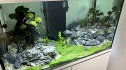 EHEIM Incpiria 300 - 6