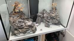 Gestaltung der Landschaft - 2