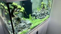 EHEIM Incpiria 300 - 1