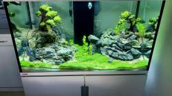 EHEIM Incpiria 300 - 5