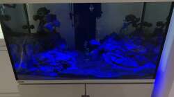 EHEIM Incpiria 300 / Mondlicht - 1