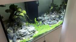 EHEIM Incpiria 300 - 7