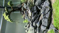 EHEIM Incpiria 300 - 10