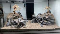 Gestaltung der Landschaft - 3