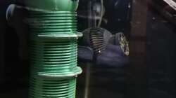 Aquaball, Heizer und Strömungspumpe