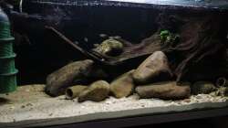 Aquarium Stomschnelle in Brasilien