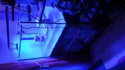 Aquarium see through the reef obsolete