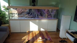 Aquarium Südamerikabecken