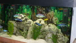 Aquarium Becken 421