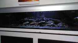 Aquarium Südamerika L46