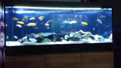 Aquarium Eheim Incpiria 530