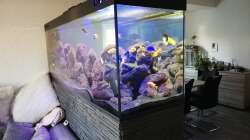 Dekoration im Aquarium Lavabruch