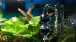 Der measury Double check mit Referenzlösung