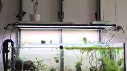 Technik im Aquarium "Hide & Seek" Asia Pond