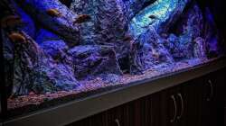 Dekoration im Aquarium Malawibiotop