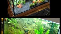 Dez Inbetriebnahme Vs 1M später