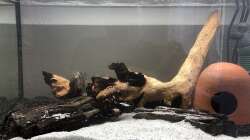 03.06.20 - direkt nach der Ersteinrichtung