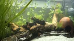 03.06.20 - direkt nach der Ersteinrichtung 0