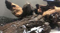 03.06.20 - direkt nach der Ersteinrichtung 0