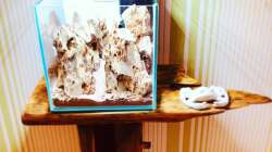 Mini Scape - Hardscape finish